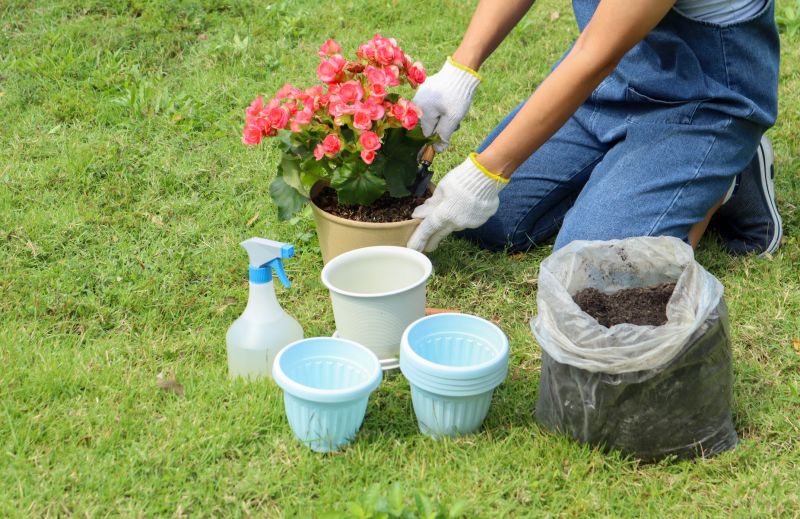 Garden Setup Service