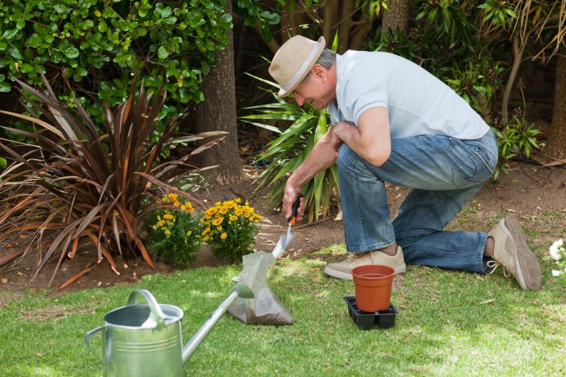 Garden Setup Service