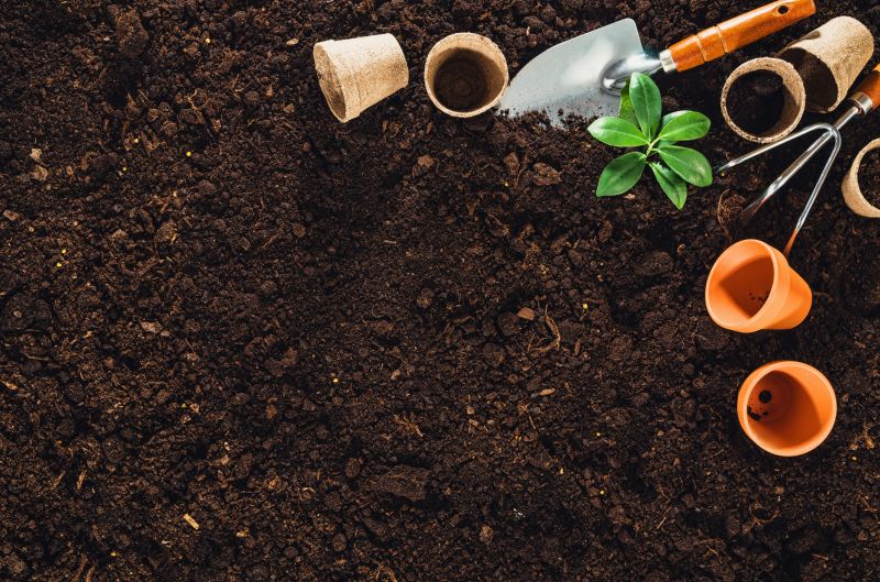 Garden Setup Service