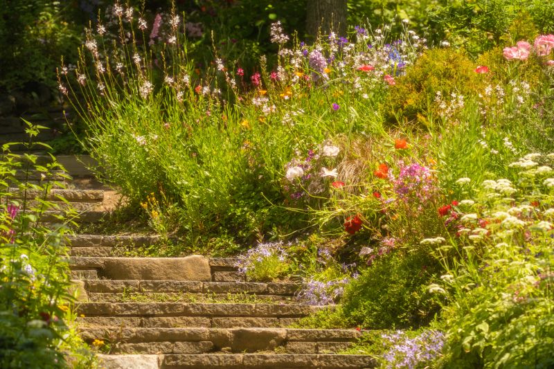 Elegant Garden Path
