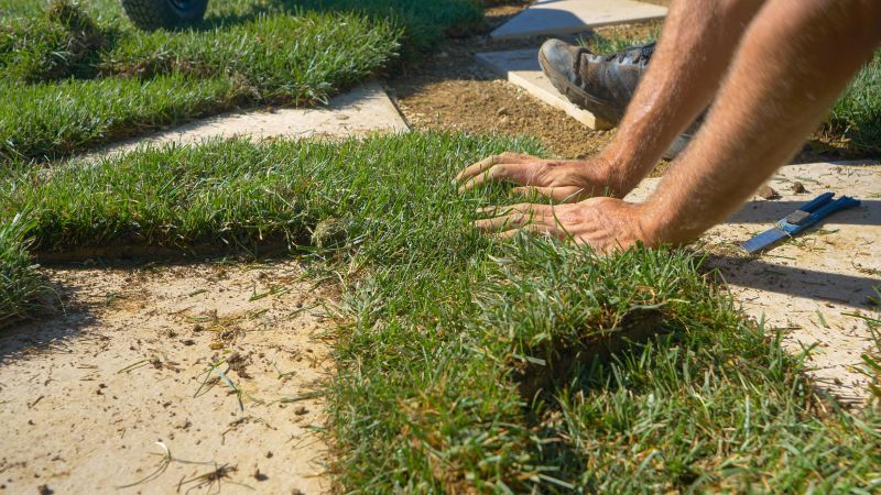 Lawn Erosion Repair