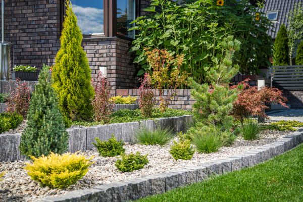 Garden Arrangement