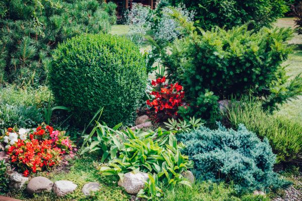 House Garden Design